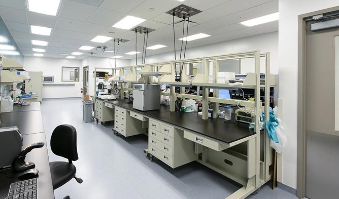 Ilmu Pengetahuan Sosial (IPS)